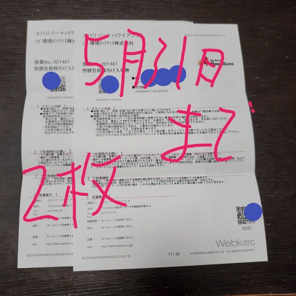 ハワイアンズ入場券2枚