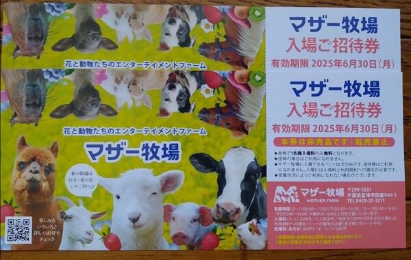 マザー牧場 入場ご招待券 2枚 有効期限2025年6月30日