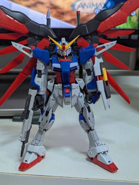 rg 1/144 デスティニーガンダム