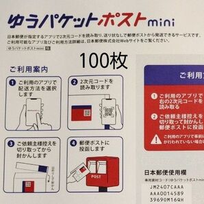 ゆうパケットポストmini