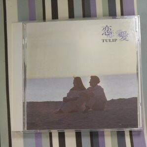 チューリップ 「恋・恋愛・愛」