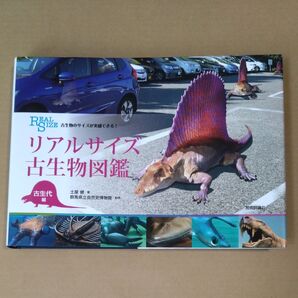 リアルサイズ古生物図鑑 古生物のサイズが実感できる! 古生代編 土屋健/著 群馬県立自然史博物館/監修