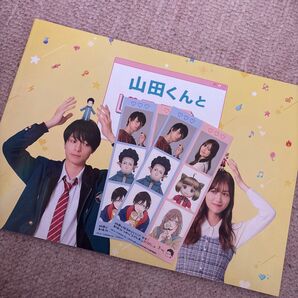 映画 パンフレット