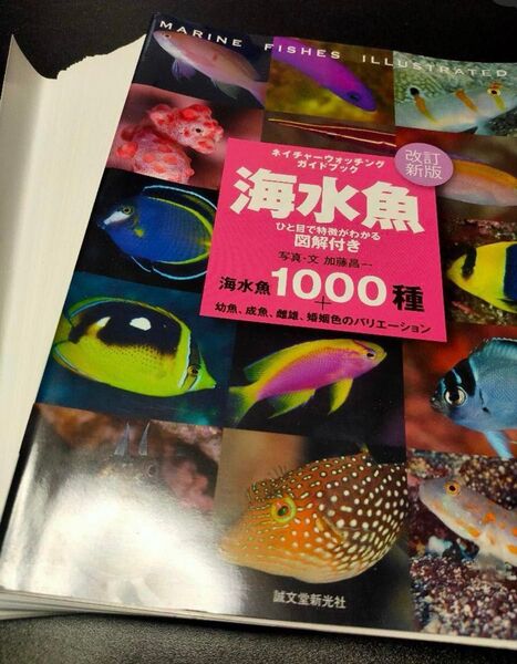 改訂新版 海水魚(ネイチャーウォッチングガイドブック)