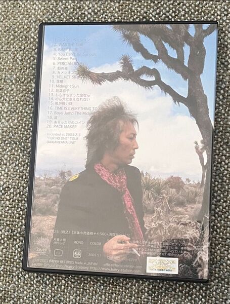 HARRY DVD THIN AIR
