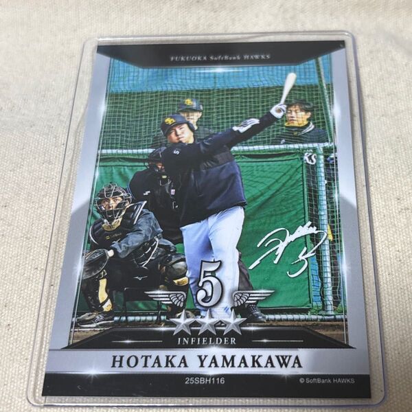 福岡ソフトバンクホークス タカコレ 山川穂高選手