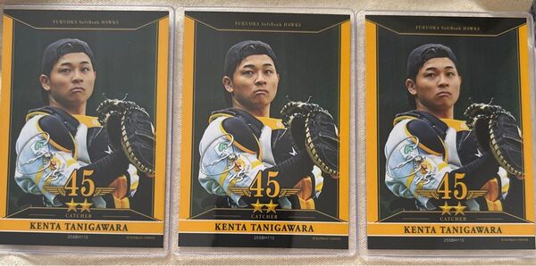 福岡ソフトバンクホークス タカコレ 谷川原健太選手