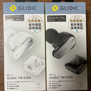 【2点】GLIDiC TW-5300 ワイヤレスイヤホン ブラック&ホワイト