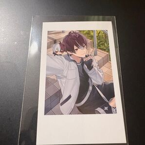 crazyraccoon cr selfie card セルフィ カード ごっちゃんマイキー ごちゃまい