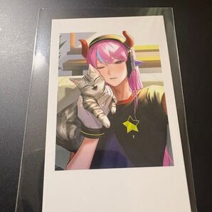 crazyraccoon cr selfie card セルフィ カード Selly セリー