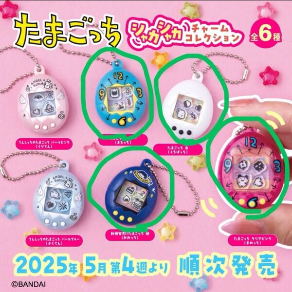 たまごっち シャカシャカ チャームコレクション ガシャポン ガチャ