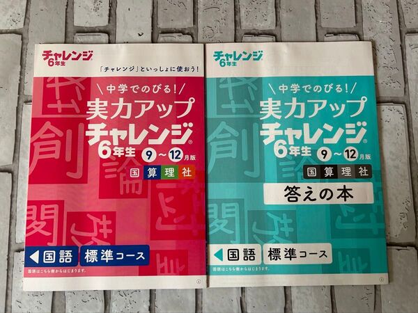 実力アップ チャレンジ 6年生 国語 標準コース 問題・答え 2冊セット