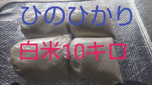 ひのひかり白米10キロ(徳島県産)令和6年産