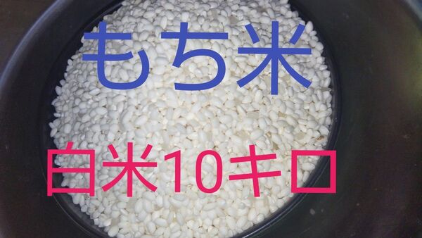 もち米白米10キロ 徳島県産令和6年産