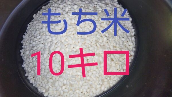 もち米白米10キロ(徳島県産)令和6年産