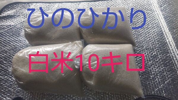 ひのひかり白米10キロ(徳島県産)令和6年産