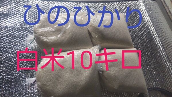 ひのひかり白米10キロ(徳島県産)令和6年産