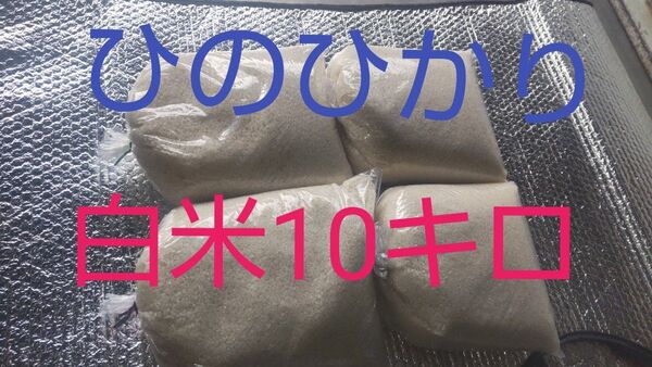 ひのひかり白米10キロ(徳島県産)令和6年産