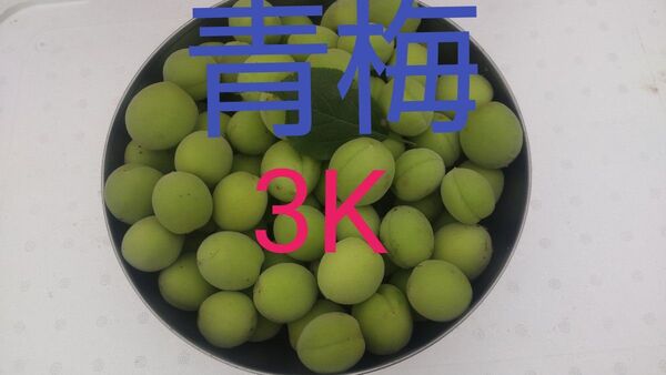 青梅(徳島県産)農家直送完全無農薬