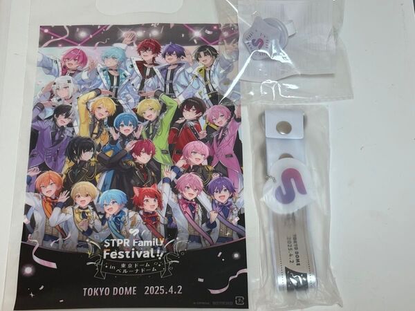 STPR すとふぇす 入場特典 東京ドーム通しチケット プレミアムグッズ 4/2