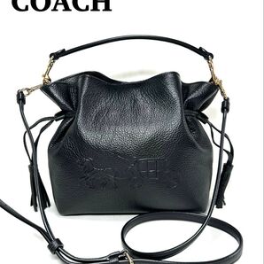 【美品】コーチ COACH ショルダーバッグ ハンドバッグ CA213