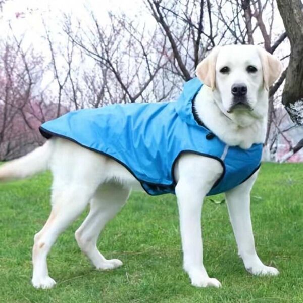 犬用レインコート L