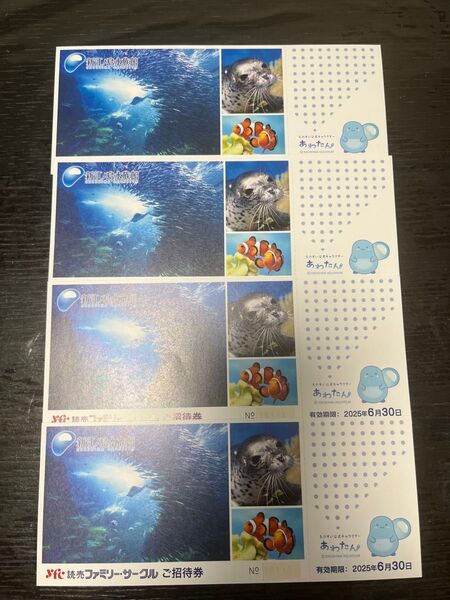 新江ノ島水族館ご招待券4枚 2025.6.30迄有効
