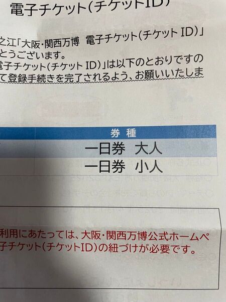 関西万博 親子ペア 電子チケット