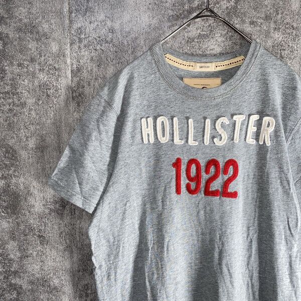 HOLLISTER ホリスター 半袖Tシャツ ワッペン アップリケ アメカジ L Tシャツ 半袖 グレー TEE