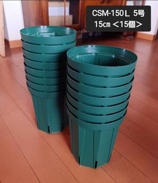 カーメン君紹介○スリット鉢 CSM-150L 5号 15㎝ <15個> 兼弥産業