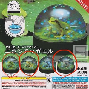ニホンアマガエル ウォータードームファクトリー 3個セット 蛙 フィギュア キタンクラブ きいろ はいいろ きみどり ガチャ