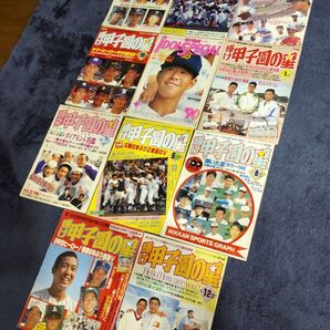 輝け甲子園の星 雑誌 日刊スポーツグラフ