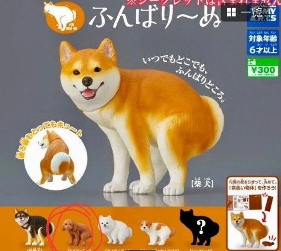 ふんばりーぬ トイプードル ガチャ