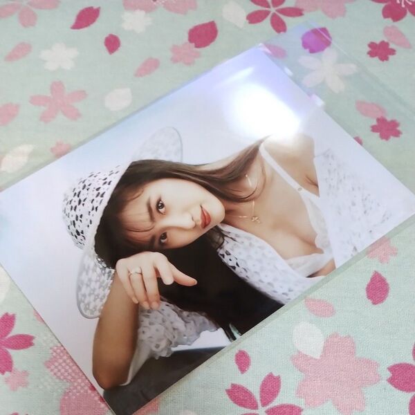 本田美奈子 写真(2L判)
