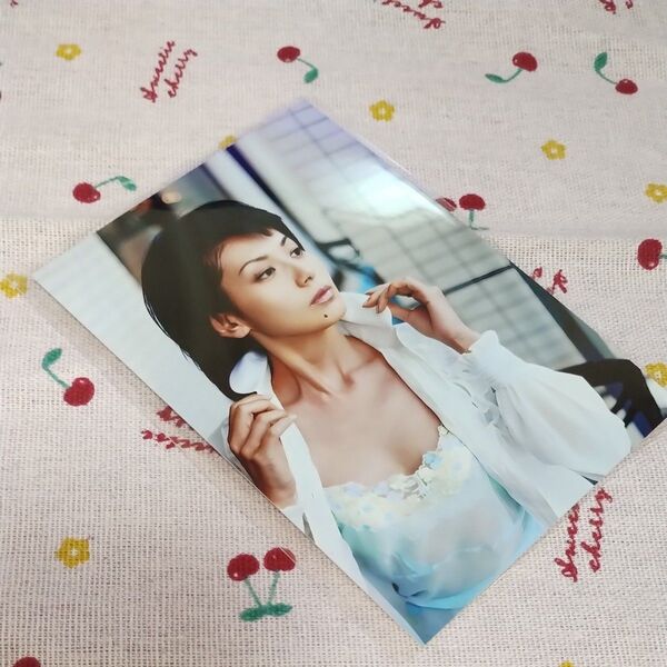 南野陽子 写真