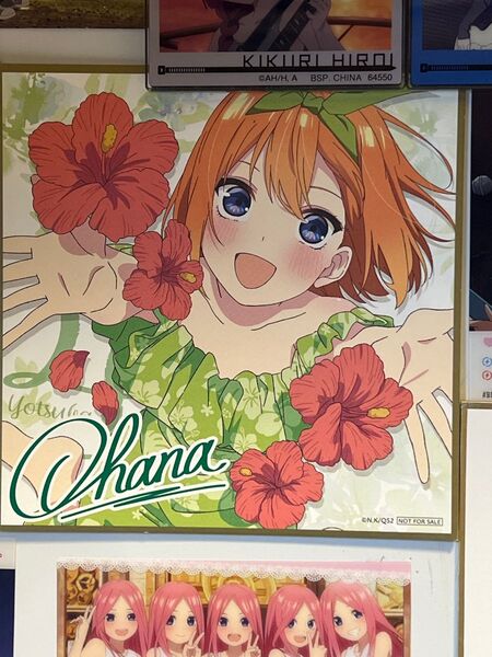 中野四葉 ミニ色紙 色紙 入場者特典 五等分の花嫁 中野一花 中野二乃 中野三玖 中野五月