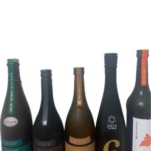 新政 5本セット