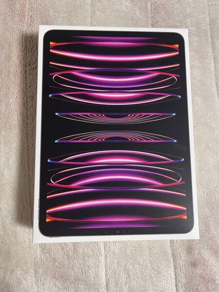 iPad Pro 4 第4世代 11インチ 256G Wi-Fiモデル スペースグレイ 充電器 箱付き