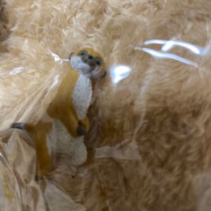 釣り日和4 ミーアキャット ガチャガチャ カプセルトーイ