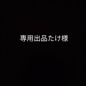 【専用出品】衣類1式ベスト