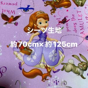 ちいさなプリンセスソフィア☆シーツ生地・ハギレ☆約70cm×約125cm☆