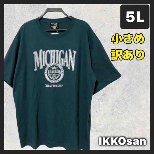 大きいサイズ 5L小さめ 4L相当 半袖Tシャツ ビンテージ風 古着風 カジュアル プリント 綿100% バングラデシュ製 訳あり