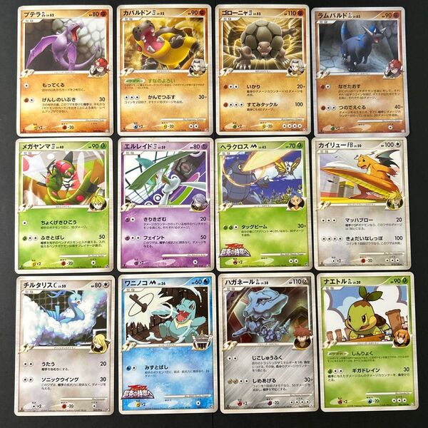 ポケモンカード DPtまとめ売り ジムリーダー