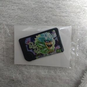ポケモンフレンダ オーガポン