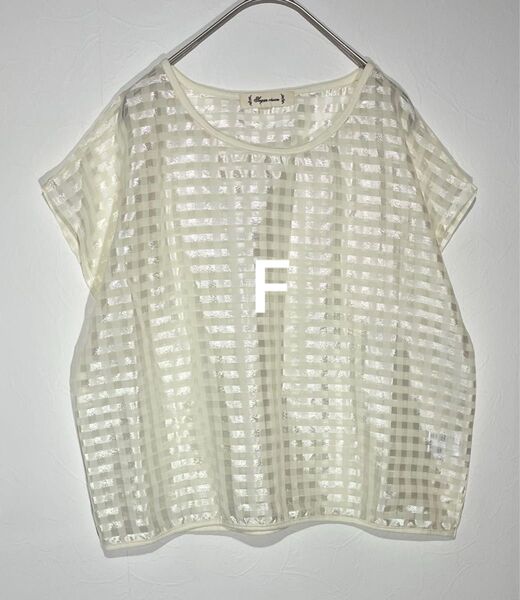 シュガースプーン 半袖トップス フリーサイズ S M L F シアー 透け感 重ね着 光沢 半袖カットソー Tシャツ 春夏