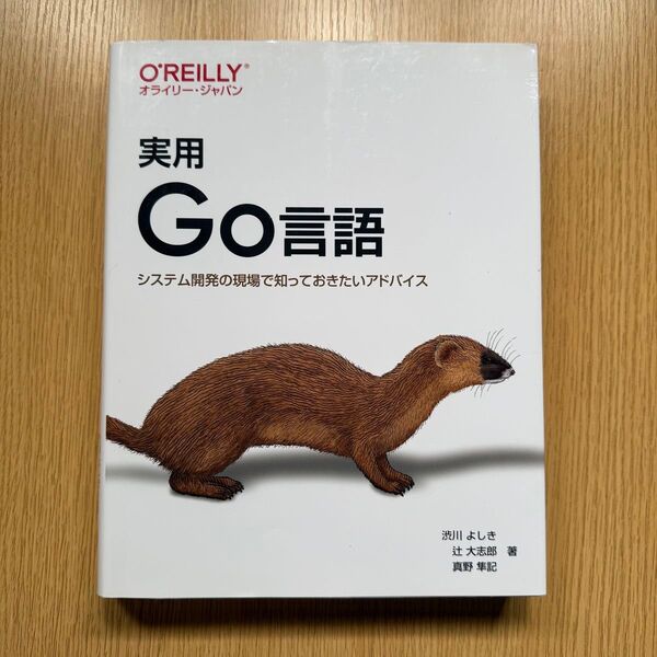 実用Go言語 システム開発の現場で知っておきたいアドバイス