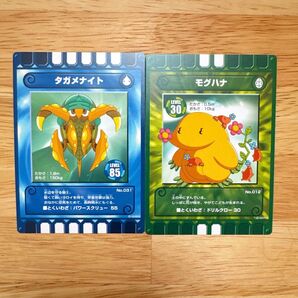 カード迷路 ぐるり森大冒険 カードレベル 2枚