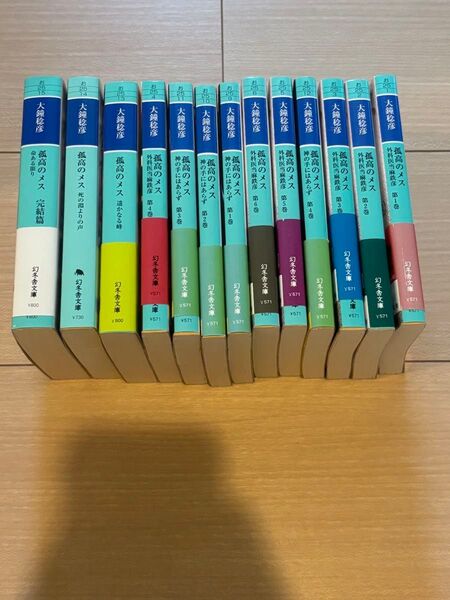 孤高のメスセット 作家大鐘稔彦