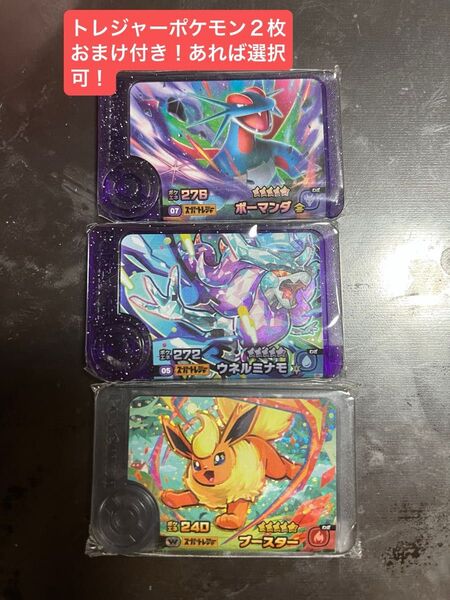 ポケモンフレンダ5段 ウネルミナモ ボーマンダ ワンダーピックブースター トレジャーポケモン2枚おまけ付き!