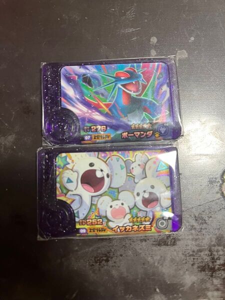 ポケモンフレンダ5段 スーパートレジャー ボーマンダ イッカネズミ トレジャーポケモン2枚おまけ付き!